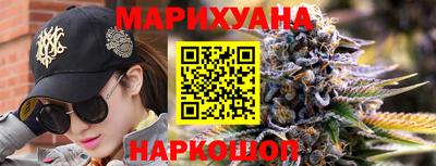 гашик Моздок