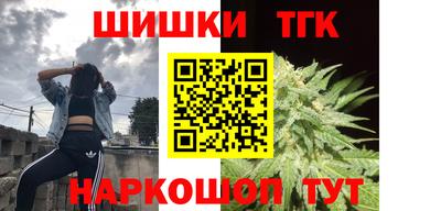гашик Моздок