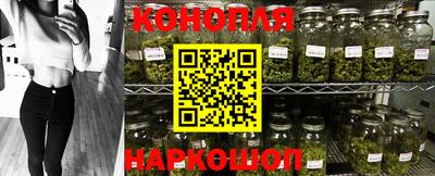 гашик Моздок