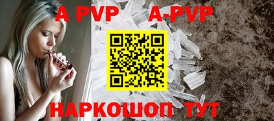 гашик Моздок