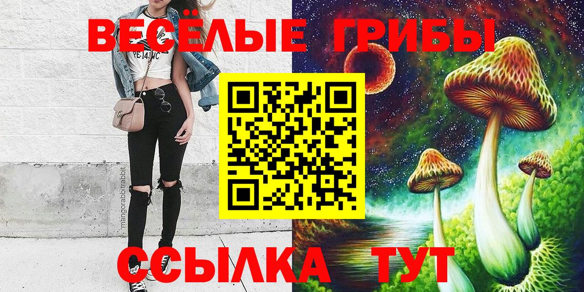 Черногорск  Галлюциногенные грибы Psilocybe  Вход с VPN  Галлюциногенные грибы Cubensis 